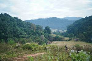 BIB: 
                            <button type="button" onclick="openModal(16011115)" class="btn btn-primary btn-sm float-right btn-popup" data-toggle="modal" data-target=".modal-high-quality">
                        <i class="fas fa-shopping-cart"></i> Add to Cart
                    </button>
                                            <button type="button" onclick="isThisMe(16011115, true)" class="btn btn-success btn-sm float-right btn-popup btn-isme hidden" data-toggle="tooltip" data-placement="bottom" title="นี่คือรูปของคุณใช่ไหม คลิกที่นี่เพื่อเอาเข้าอัลบั้ม">
                        <i class="fas fa-plus"></i> Add to album
                    </button>
                    <button type="button" onclick="isThisMe(16011115, false)" class="btn btn-warning btn-sm float-right btn-popup btn-isnotme hidden">
                        <i class="fas fa-ban"></i> Remove from album
                    </button>